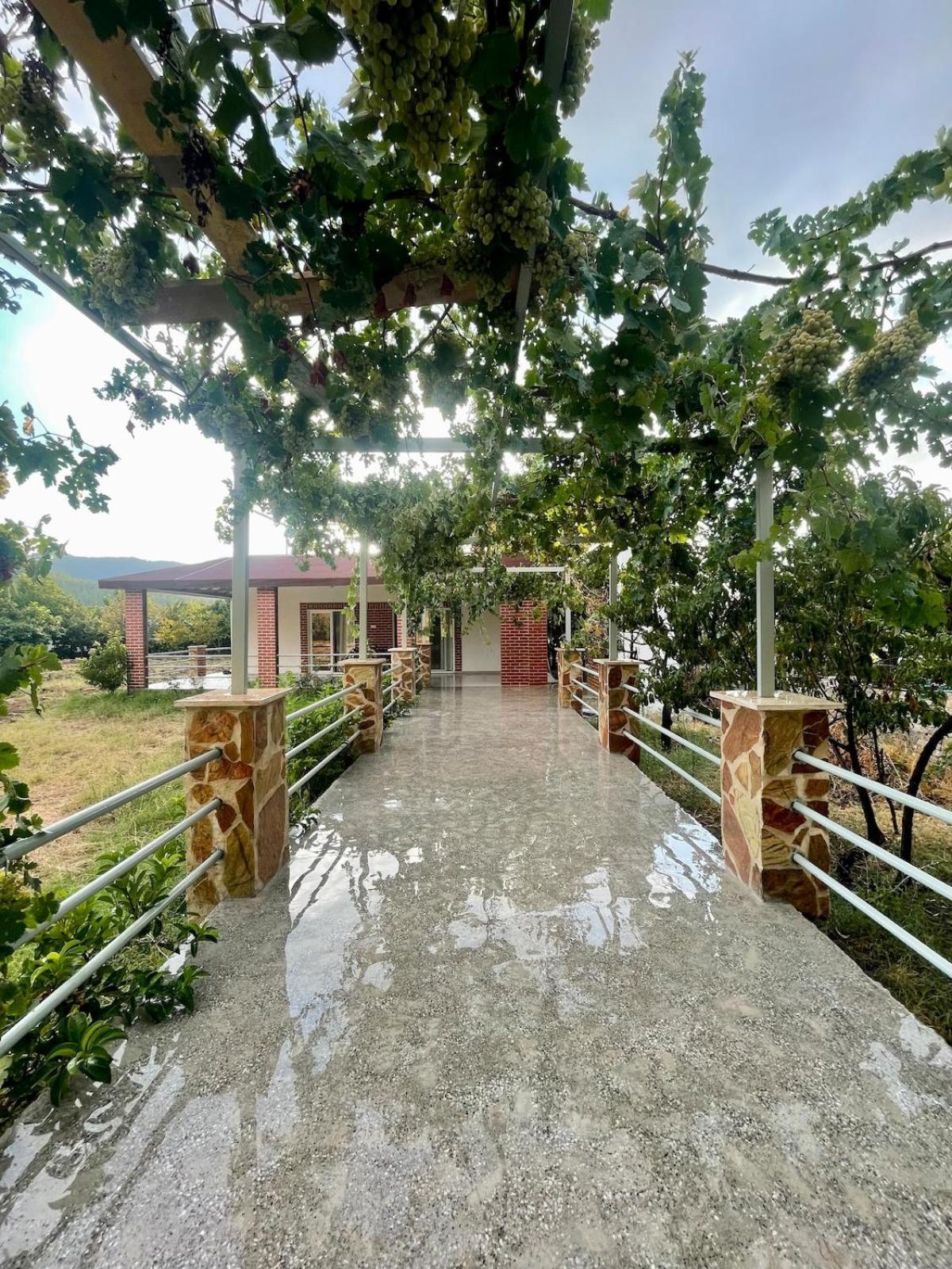 Hisaronu Detached House Tatil Evi Marmaris
